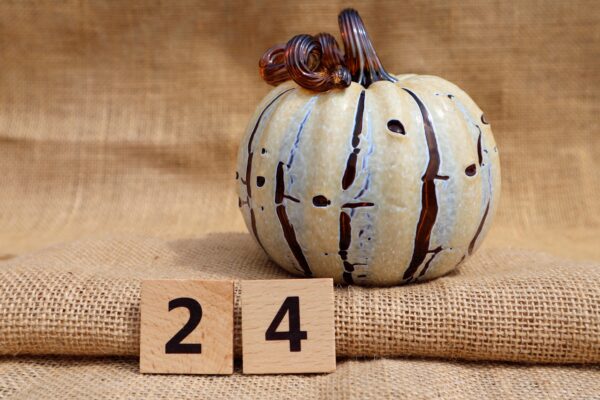 Pumpkin 24