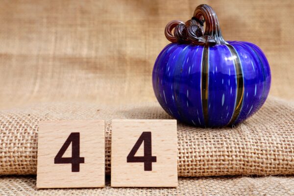 Pumpkin 44