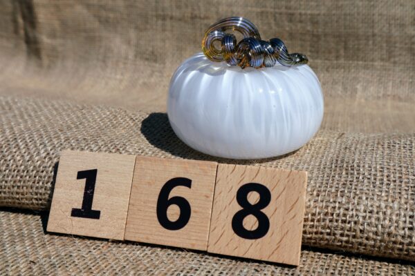 Pumpkin 168