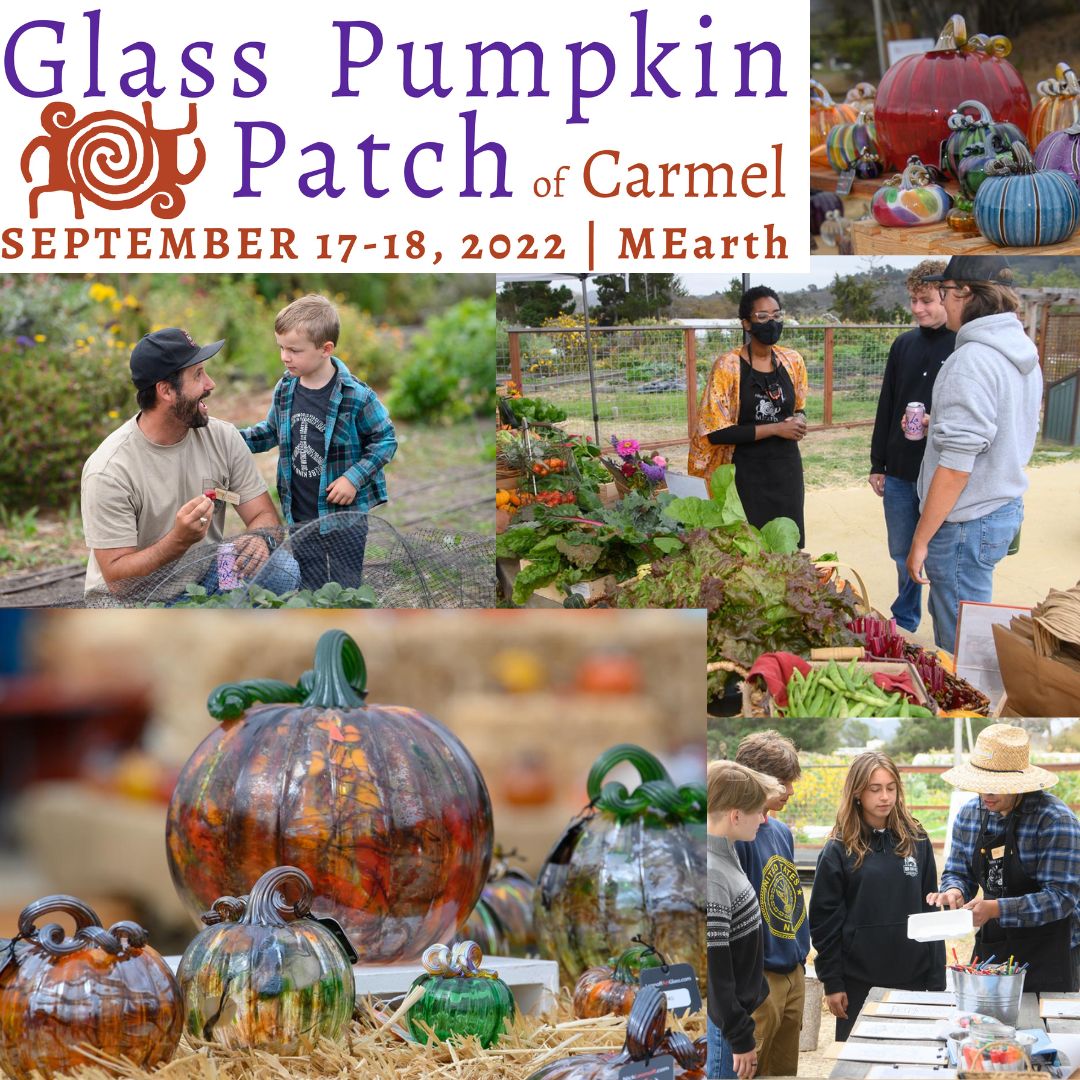 The 11th Annual Glass Pumpkin Patch 2023 MEarth